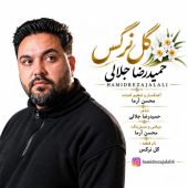 دانلود آهنگ حمیدرضا جلالی گل نرگس